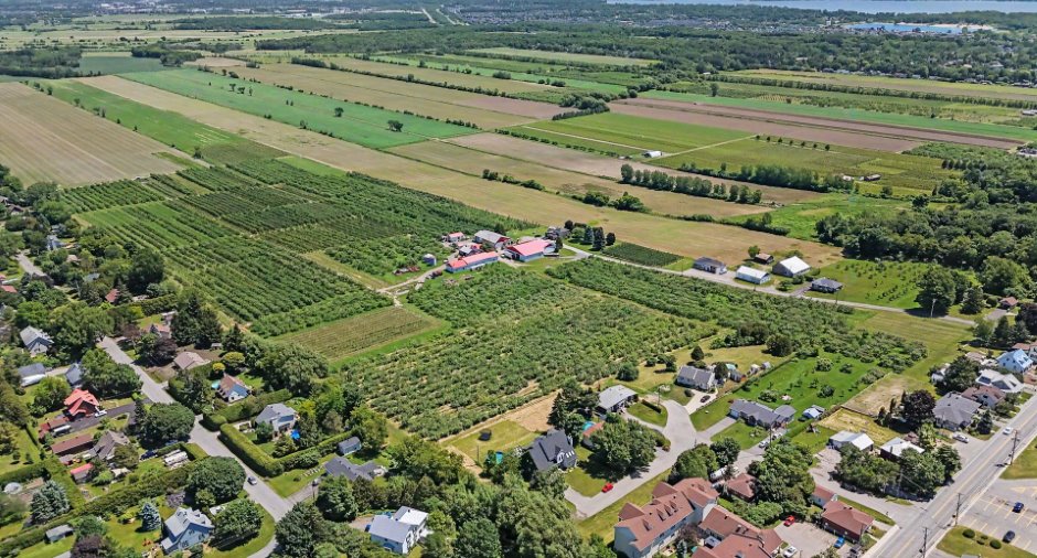 Vue d'ensemble