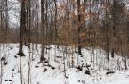 Terre/Terrain