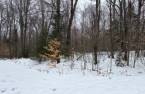 Terre/Terrain