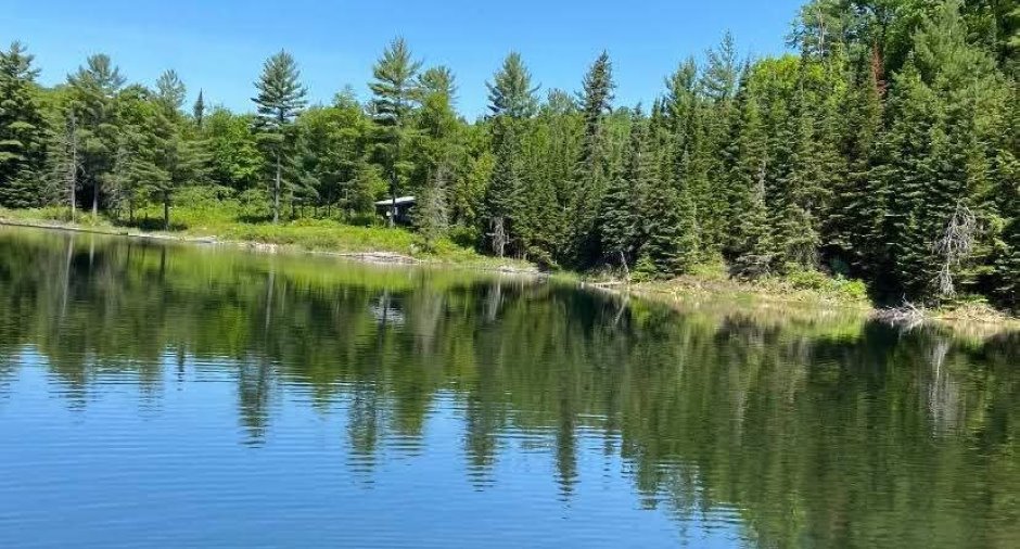 Bord de l'eau