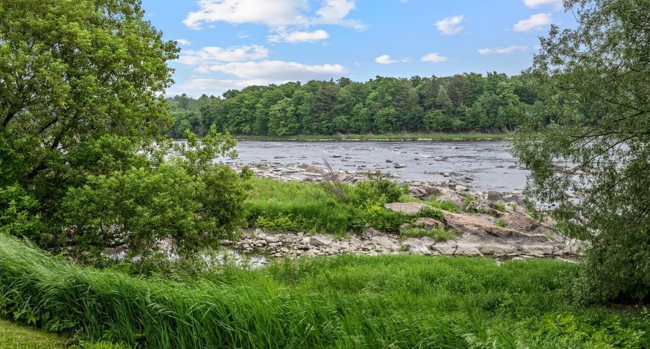 Vue sur l'eau