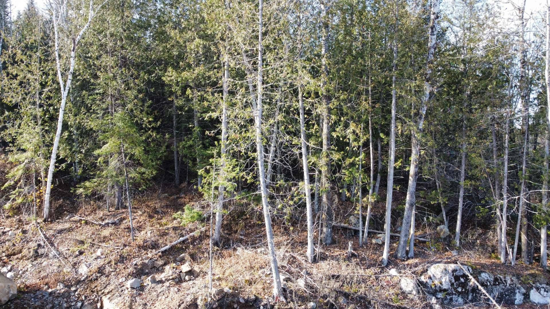 Ch. de la Montérégie — photo 2