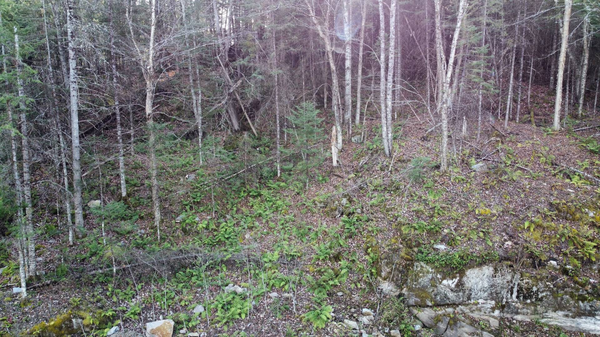 Ch. de la Montérégie — photo 3