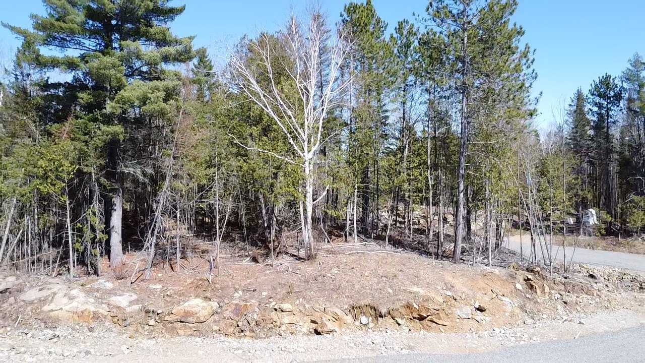 Route 309 N. — photo 1