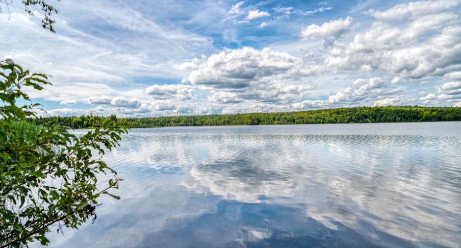 Vue sur l'eau