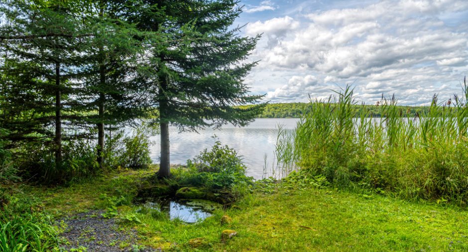 Vue sur l'eau