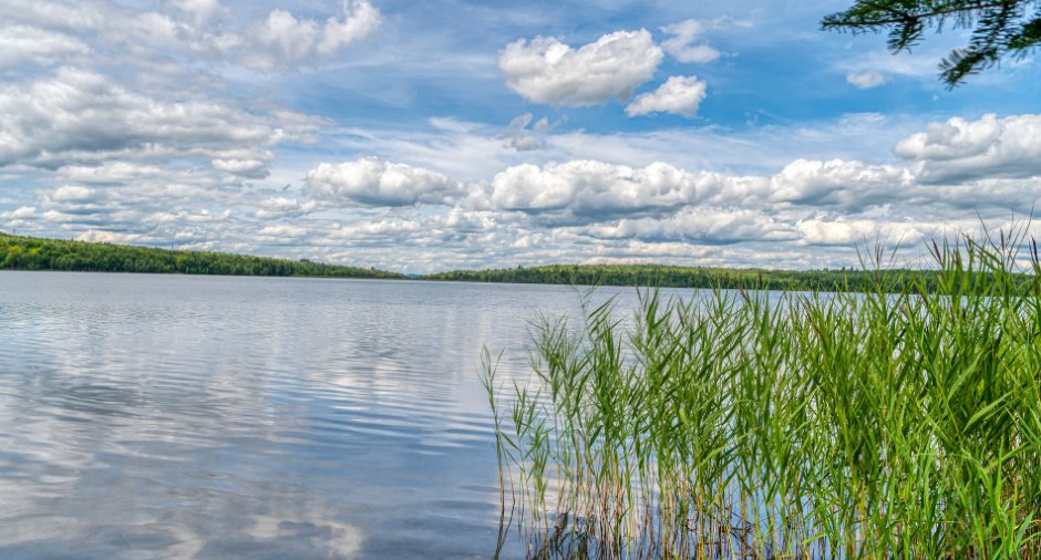 Vue sur l'eau