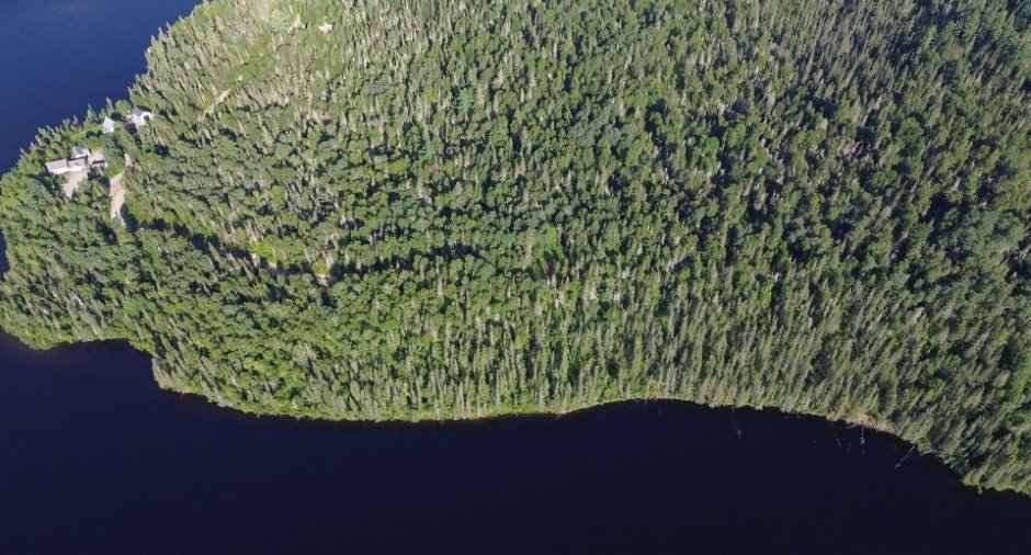 Terre/Terrain
