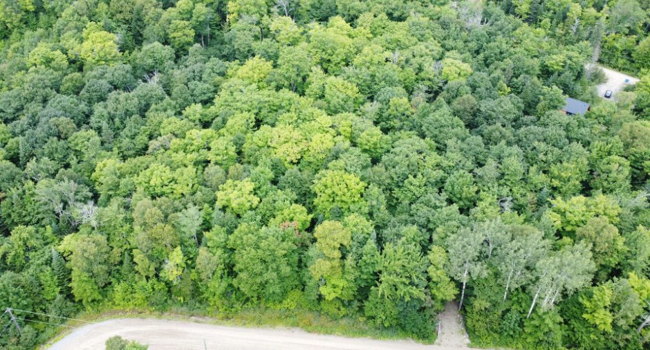Land/Lot