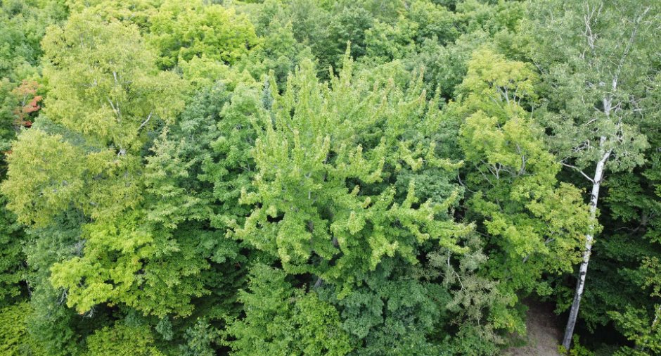 Aerial photo