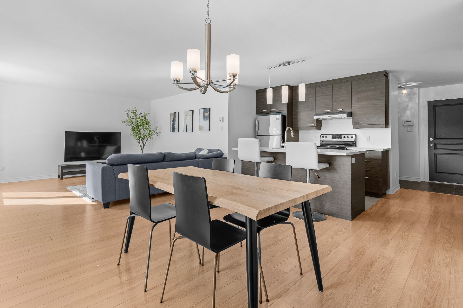45 Rue Rémi-Dansereau (#4) — photo 3
