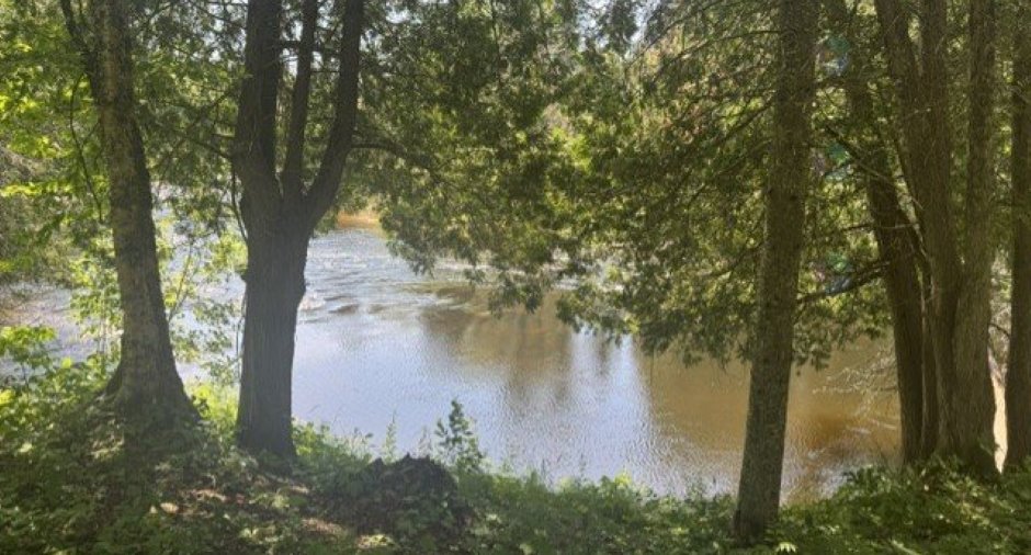 Bord de l'eau