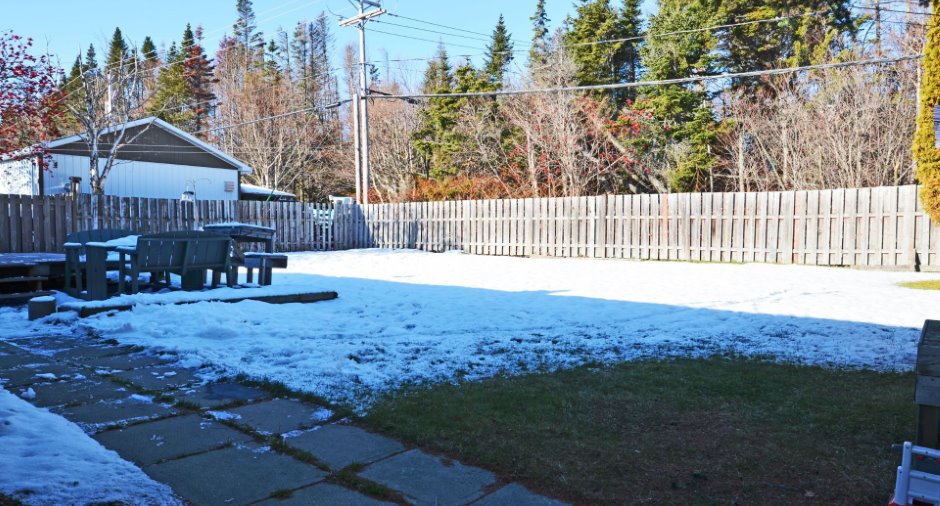 Backyard