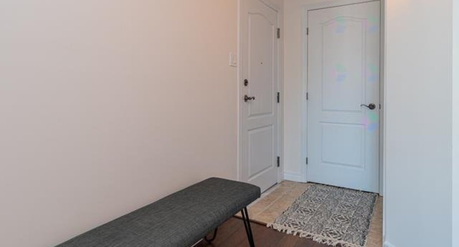 Hall d’entrée/Vestibule
