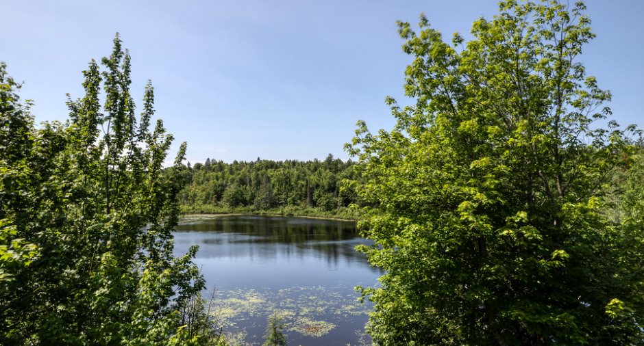 Bord de l'eau