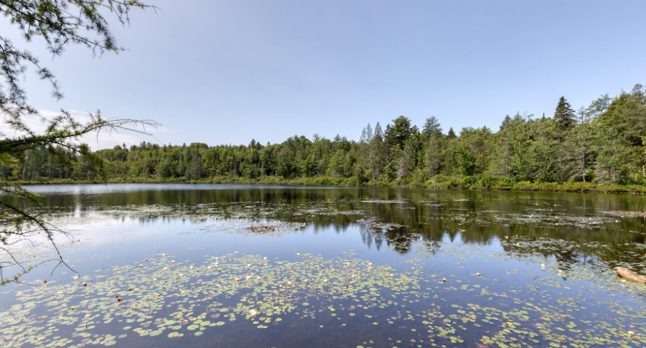 Bord de l'eau