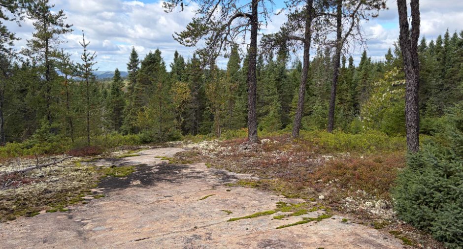Terre/Terrain