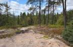 Terre/Terrain