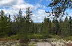 Terre/Terrain