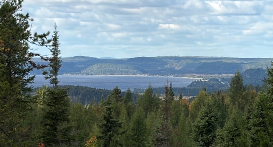 Vue sur l'eau