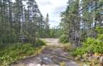 Terre/Terrain