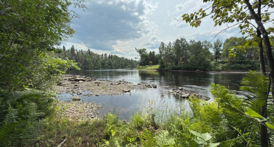 Accès au plan d'eau