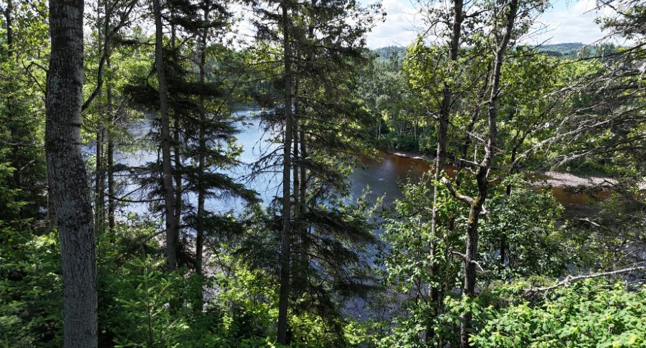 Vue sur l'eau