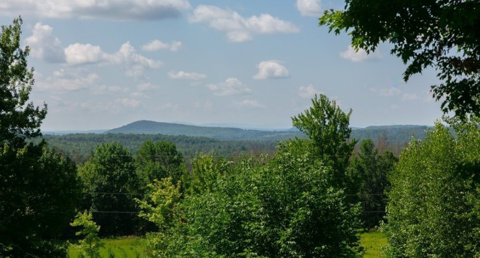 Vue