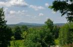 Vue