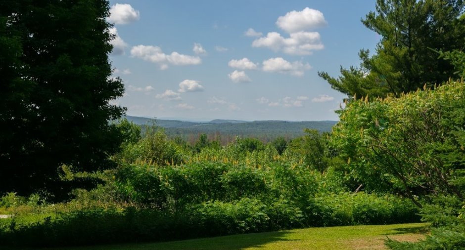 Vue
