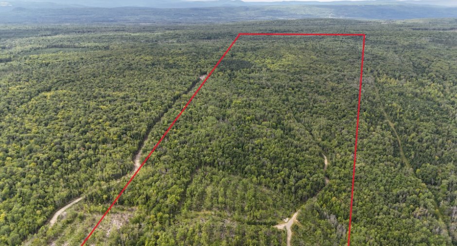 Terre/Terrain