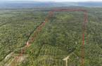 Terre/Terrain