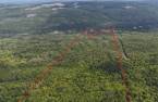 Terre/Terrain