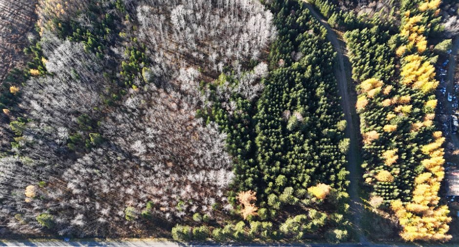 Terre/Terrain