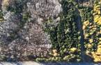 Terre/Terrain