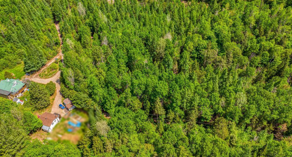 Aerial photo