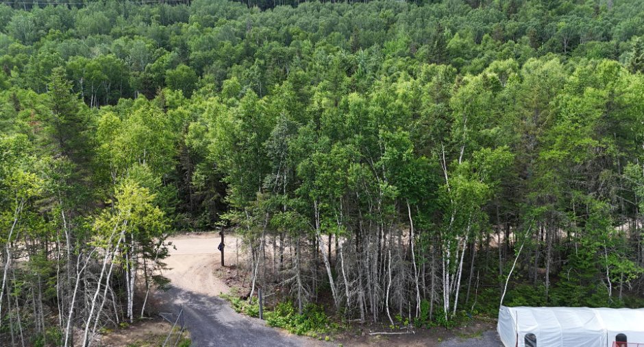 Overall View