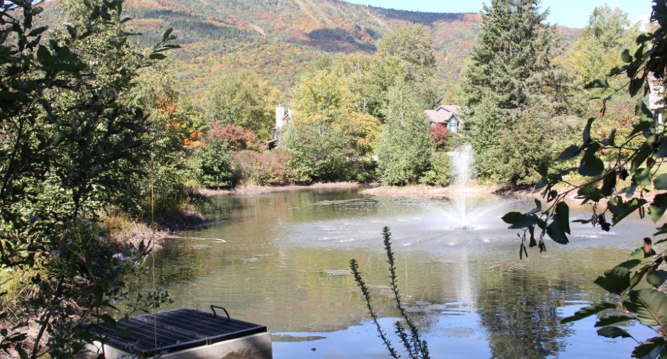 Bord de l'eau