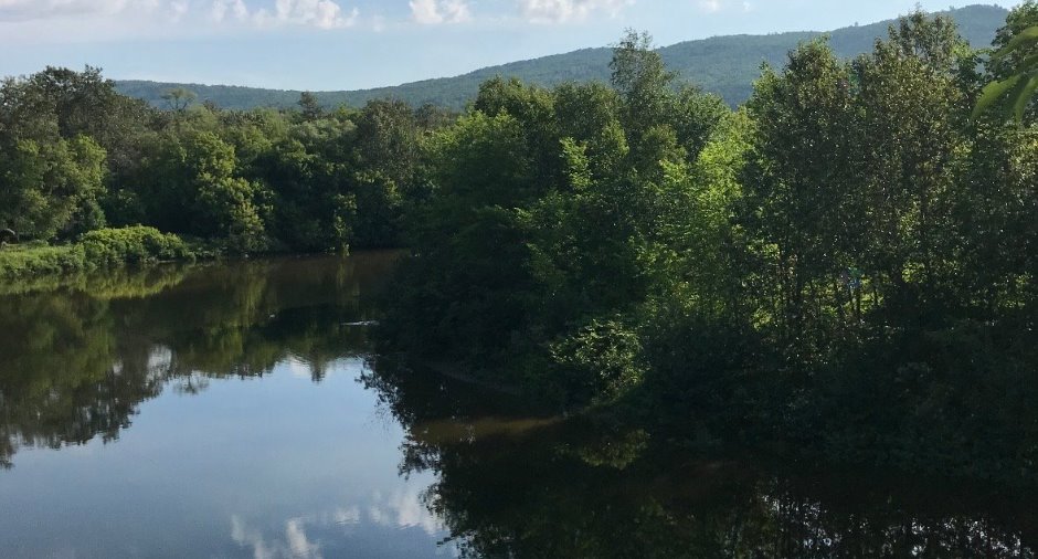 Vue sur l'eau
