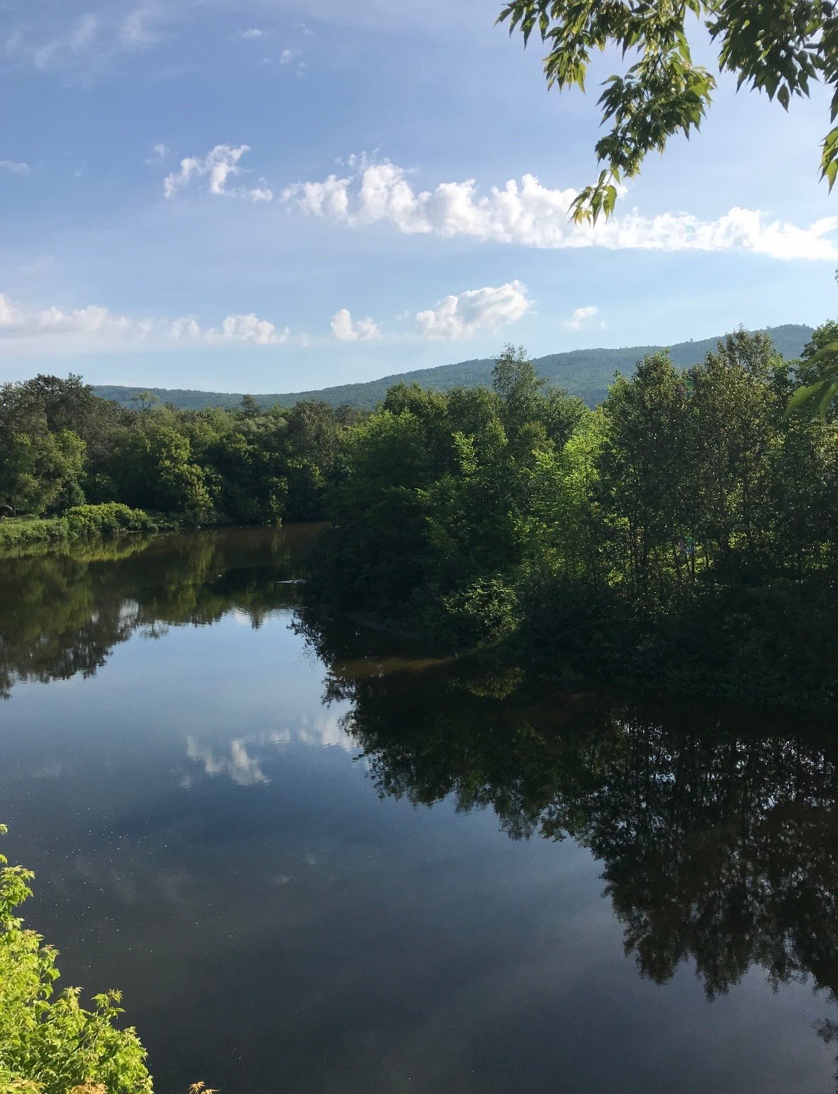 Vue sur l'eau