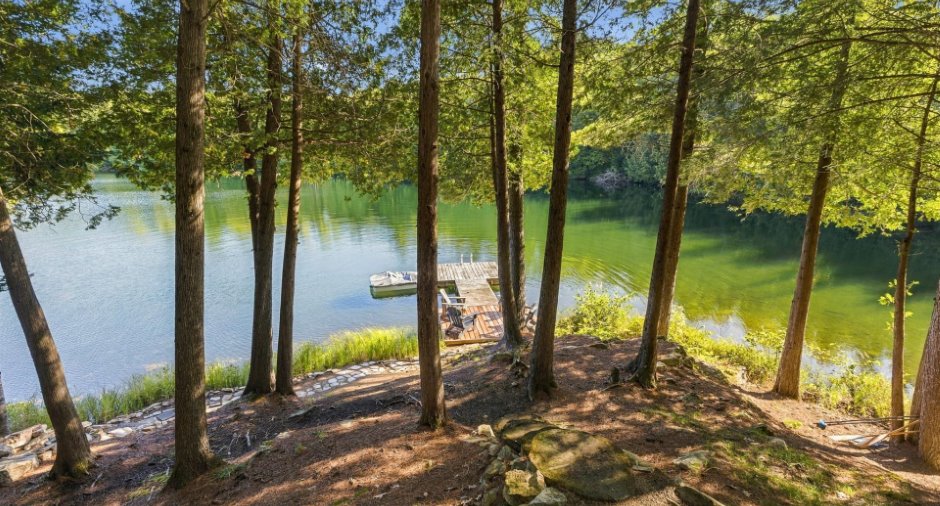 Vue sur l'eau