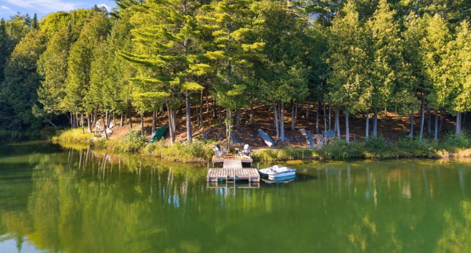 Bord de l'eau