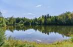 Bord de l'eau