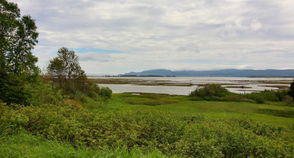 Vue sur l'eau