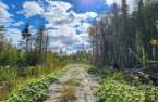 Terre/Terrain