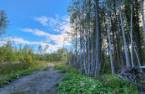 Terre/Terrain