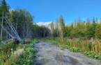 Terre/Terrain