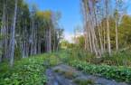 Terre/Terrain