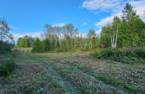 Terre/Terrain