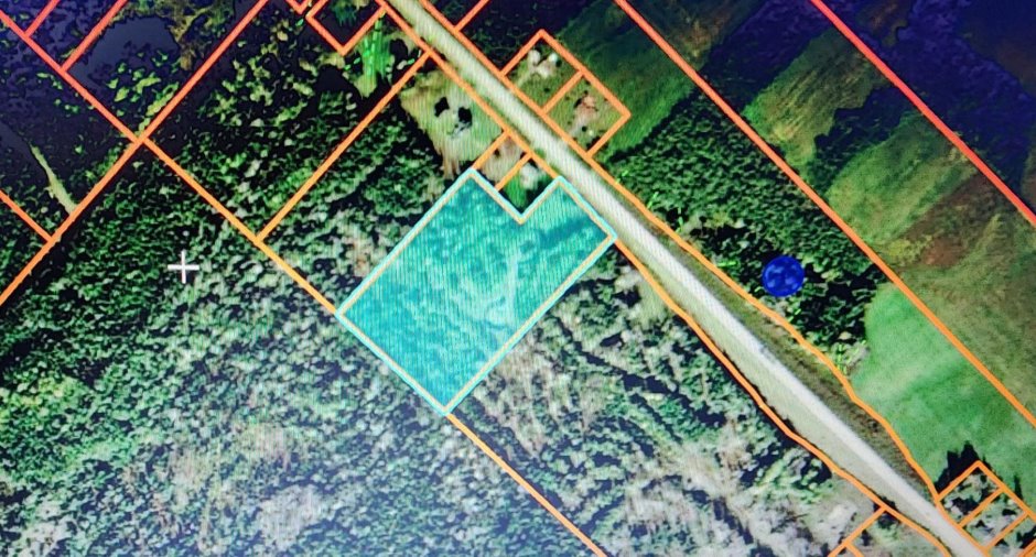 Terre/Terrain